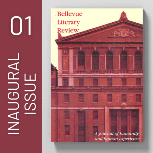 Issue 1
