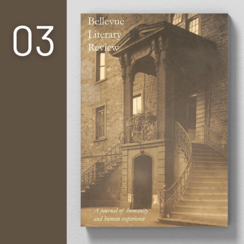 Issue 3