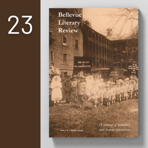 Issue 23