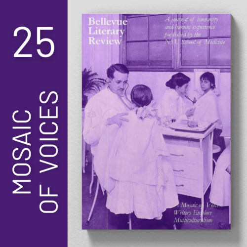 Issue 25 Mosaic of Voices