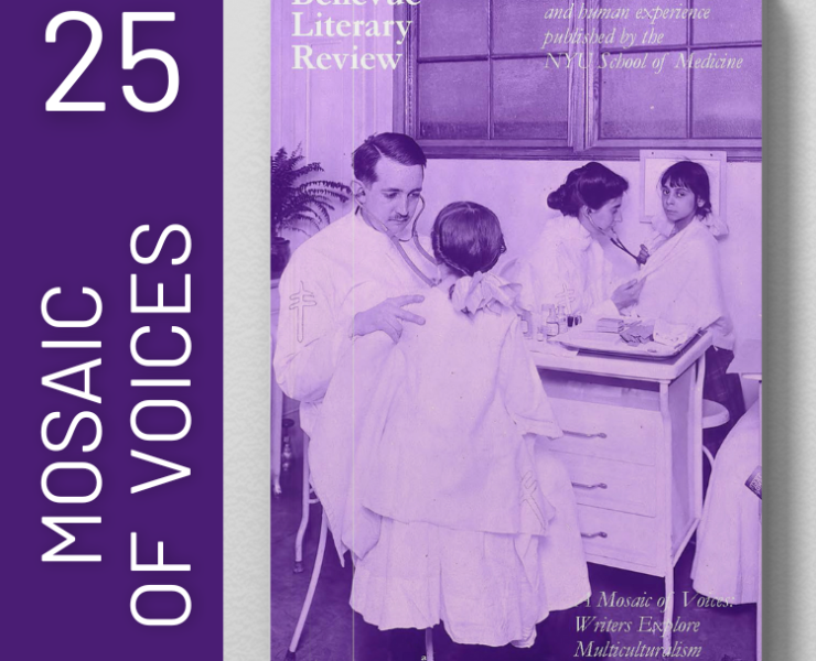 Issue 25 Mosaic of Voices
