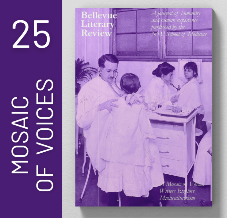 Issue 25 Mosaic of Voices