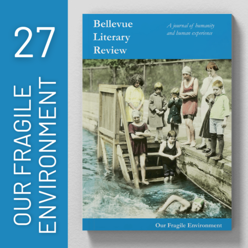 Issue 27 Our Fragile Environment