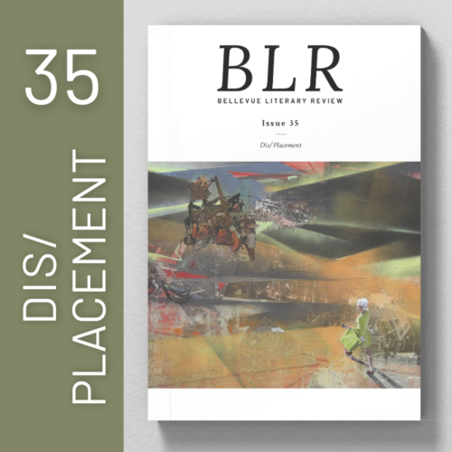 Issue 35 Displacement
