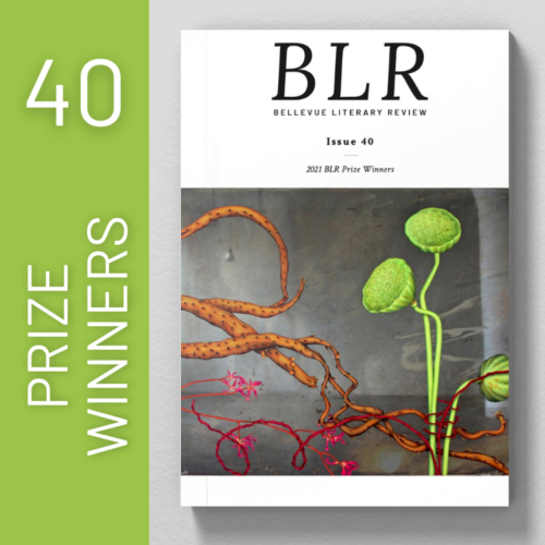 Issue 40