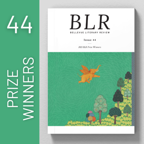 Issue 44 - 2023 Prize Winner