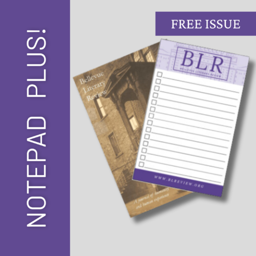 BLR Notepad Plus!