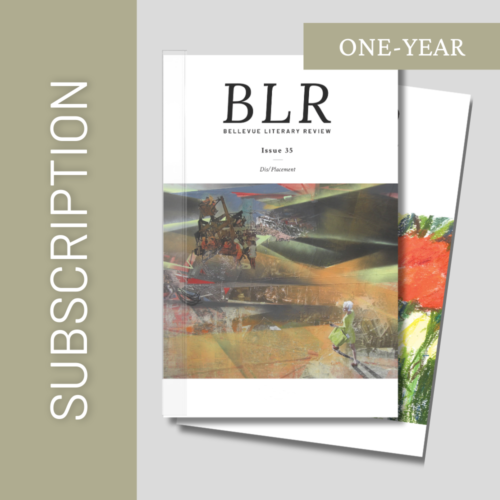 BLR Subscription (1 year)