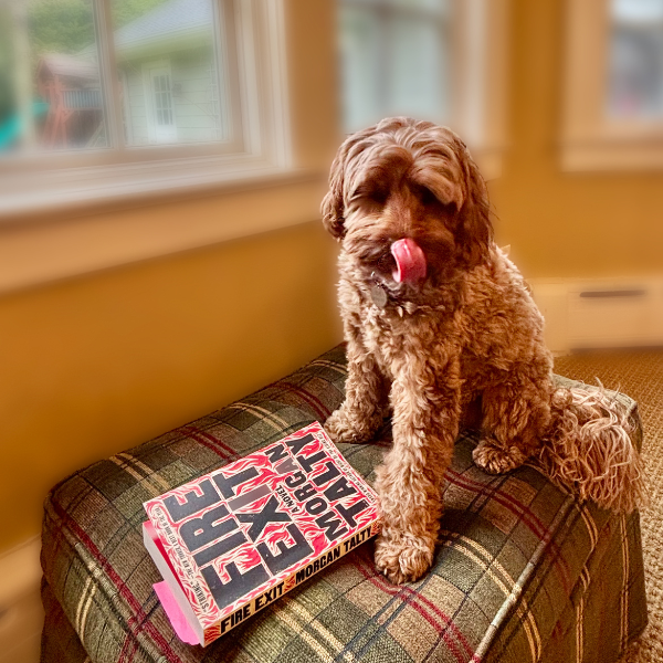 What We’re Reading Now